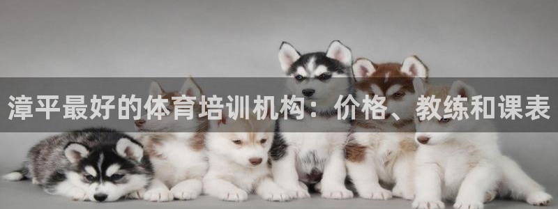 富联娱乐在线注册链接是什么软件：漳平最好的体育培训机