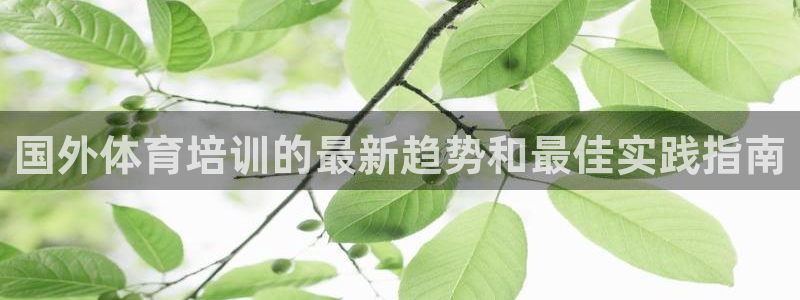 富联劳务：国外体育培训的最新趋势和最佳实践指南