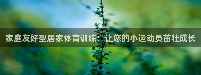 富联平台推 5O6917 富联：家庭友好型居家体育训