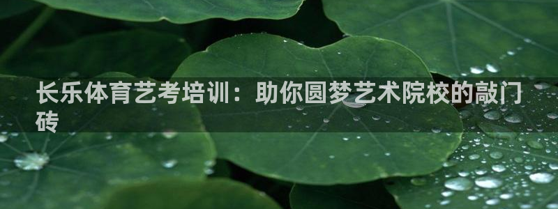 富联娱乐下载：长乐体育艺考培训：助你圆梦艺术院校的敲