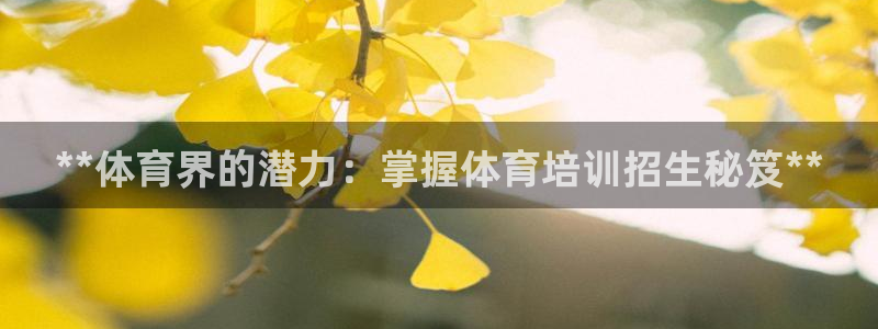 富联申购中签号：**体育界的潜力：掌握体育培训招生秘