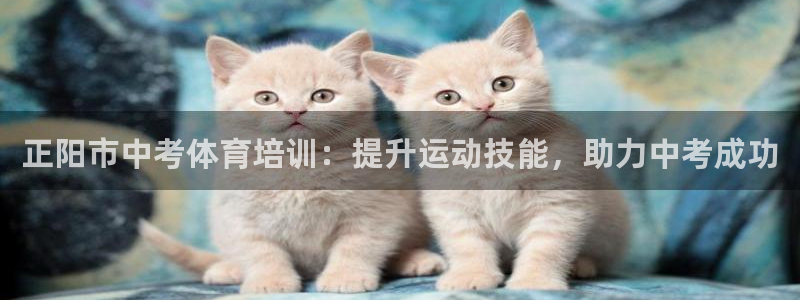 富联金融：正阳市中考体育培训：提升运动技能，助力中考