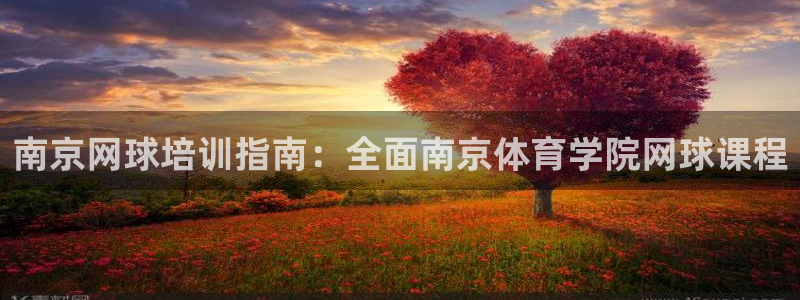 富联娱乐是骗局吗是真的吗：南京网球培训指南：全面南京
