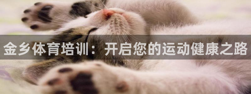 富联商城：金乡体育培训：开启您的运动健康之路