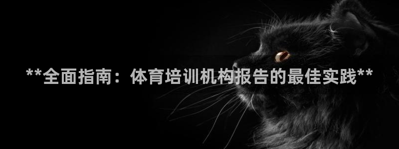 富联超市：**全面指南：体育培训机构报告的最佳实践*