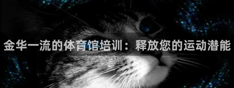 中国富联股票行情：金华一流的体育馆培训：释放您的运动