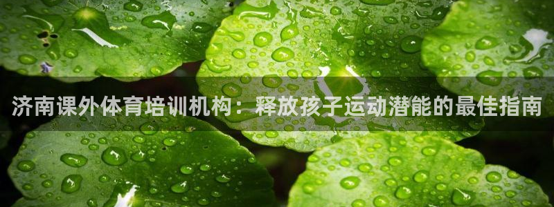 富联娱乐军7O777：济南课外体育培训机构：释放孩子