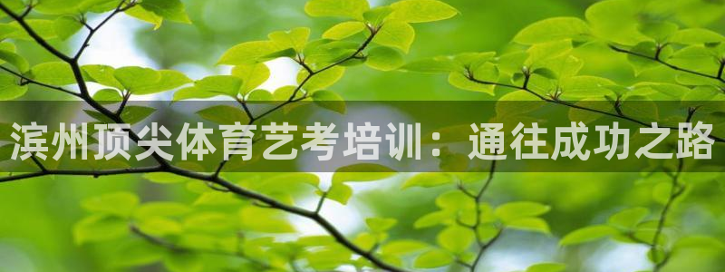 富联智能科技学院：滨州顶尖体育艺考培训：通往成功之路
