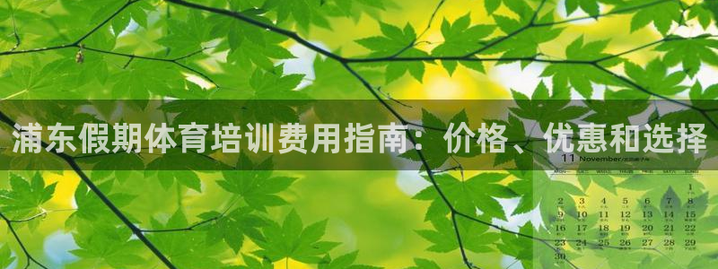 富联平台官网登录不了：浦东假期体育培训费用指南：价格