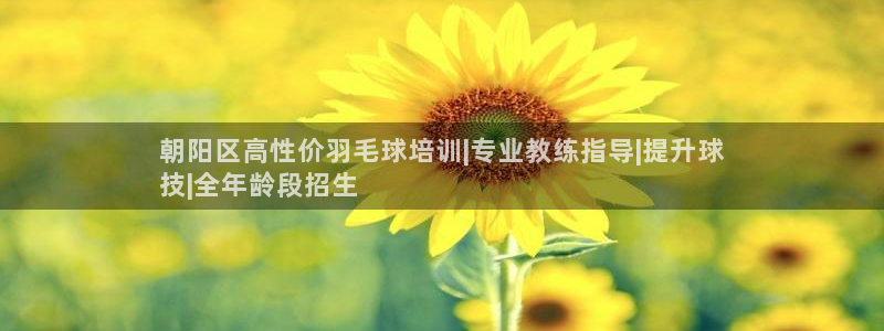富联娱乐叩 411O31 富联：朝阳区高性价羽毛球培