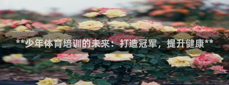 富联平台荐 585341：**少年体育培训的未来：打