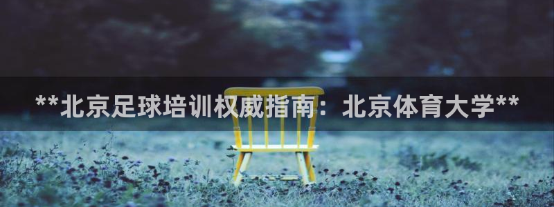 富联平台挂机怎么操作：**北京足球培训权威指南：北京