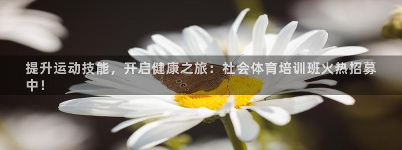 富联平台招商：提升运动技能，开启健康之旅：社会体育培