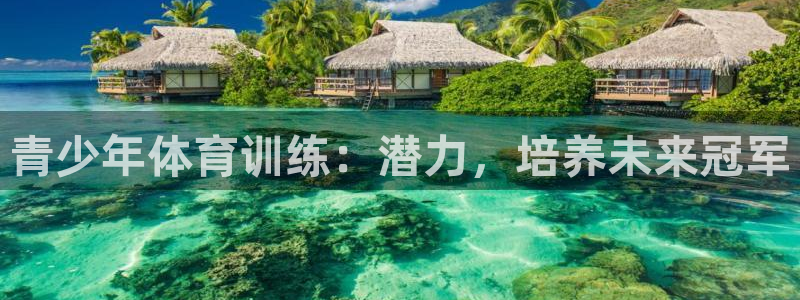 富联平台系 5O6917 富联：青少年体育训练：潜力