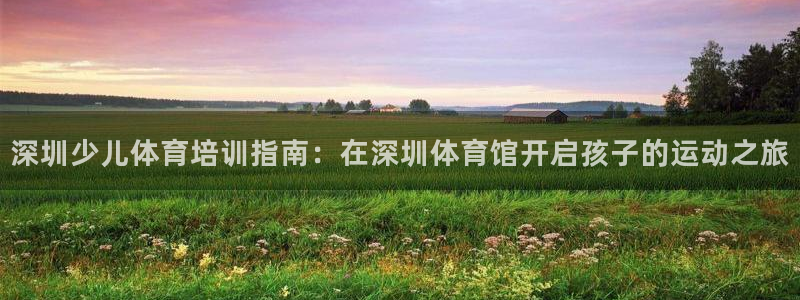 富联官方网站下载：深圳少儿体育培训指南：在深圳体育馆