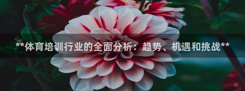 富联平台招商电话：**体育培训行业的全面分析：趋势、