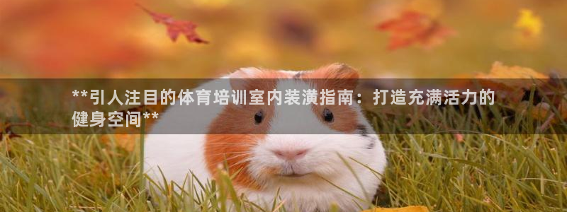 富联娱乐官方网站入口网址：**引人注目的体育培训室内