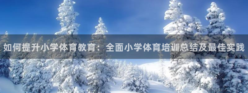 富联平台挂机赚钱：如何提升小学体育教育：全面小学体育