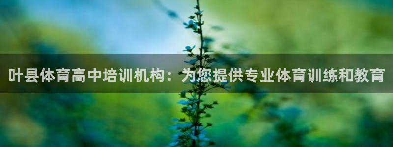 富联什么意思：叶县体育高中培训机构：为您提供专业体育