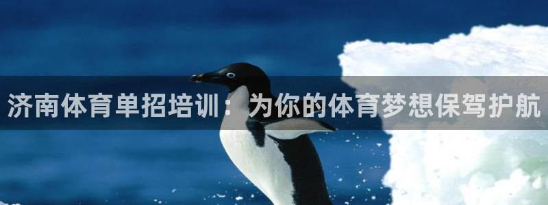 富联申购哪天上市交易：济南体育单招培训：为你的体育梦