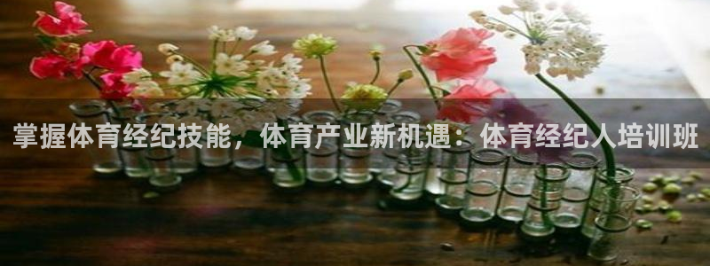 富联平台线路检测中心怎么样：掌握体育经纪技能，体育产