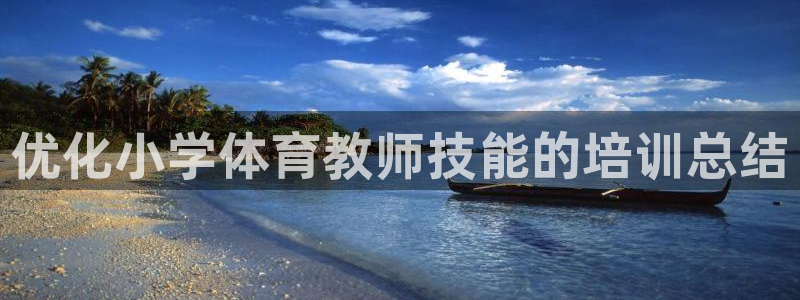 富联平台网站登录入口：优化小学体育教师技能的培训总结