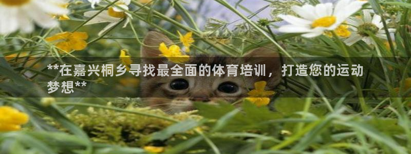 富联娱乐会员账号是什么：**在嘉兴桐乡寻找最全面的体