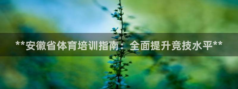 富联平台登录注册不了：**安徽省体育培训指南：全面提