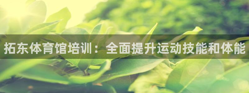 富联平台上级下级是什么：拓东体育馆培训：全面提升运动