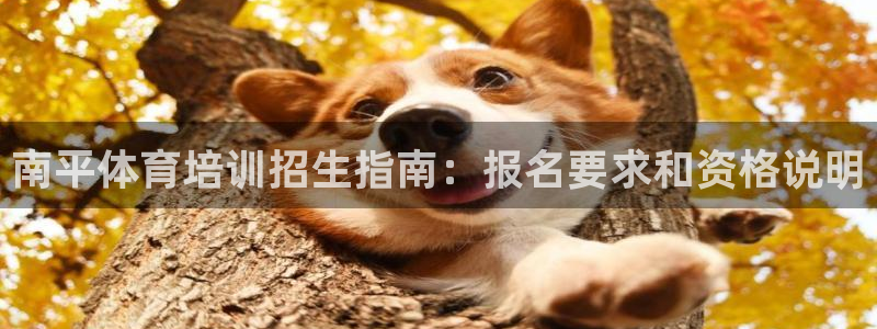 富联最新股价：南平体育培训招生指南：报名要求和资格说