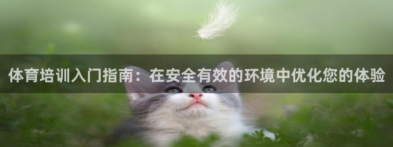 富联官方网站下载app：体育培训入门指南：在安全有效