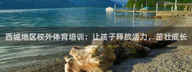 富联平台选 585341 平台：西城地区校外体育培训
