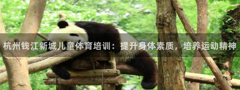 富联平台登录注册：杭州钱江新城儿童体育培训：提升身体