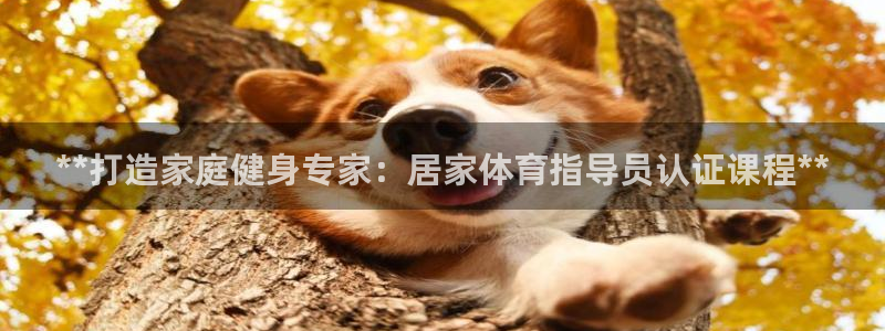 富联娱乐在线注册链接怎么弄：**打造家庭健身专家：居