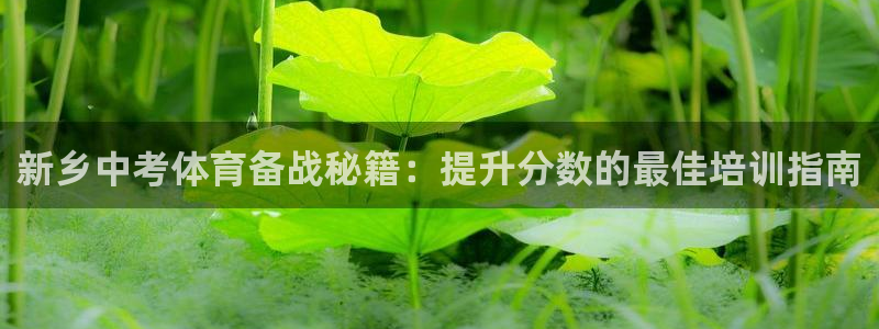 富联平台上级下级是什么意思：新乡中考体育备战秘籍：提