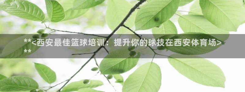 富联娱乐平台开户流程视频：**<西安最佳篮球培训：提