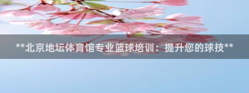 富联申购上市价格预测：**北京地坛体育馆专业篮球培训