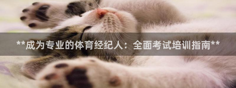 富联娱乐登录注册入口官网：**成为专业的体育经纪人：