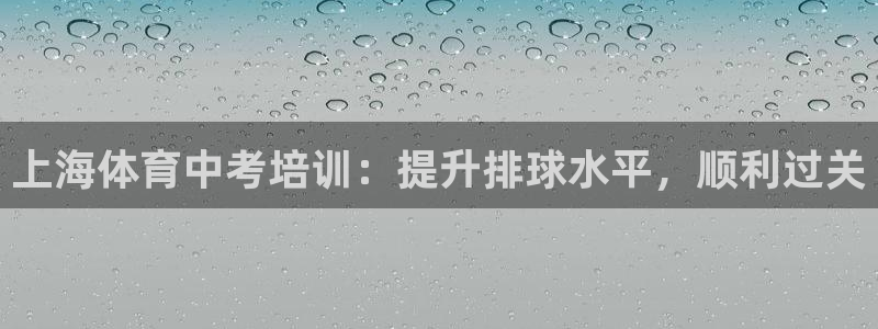 富联官方网站入口网址是多少：上海体育中考培训：提升排