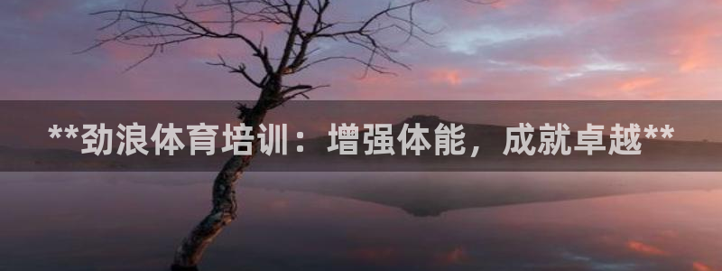 富联娱乐代 41IO31 娱乐：**劲浪体育培训：增