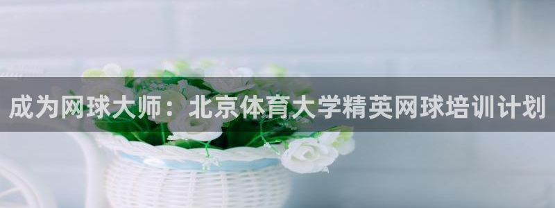 富联官方网站下载安装最新版：成为网球大师：北京体育大