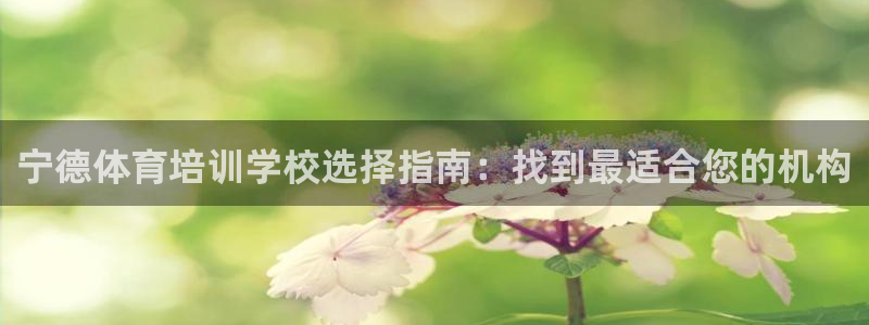富联申购上市价格预测最新：宁德体育培训学校选择指南：