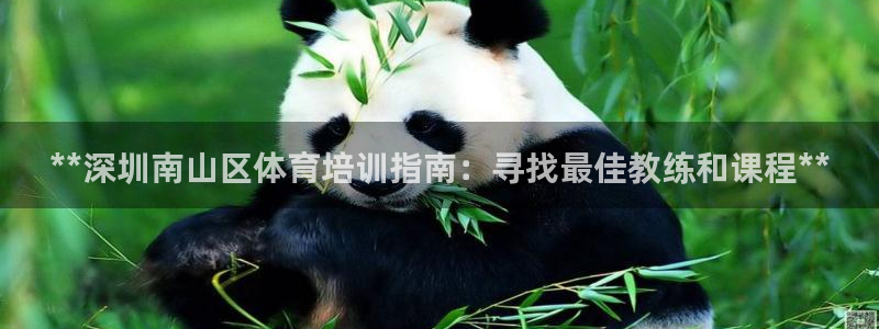 富联娱乐凡六七五一38：**深圳南山区体育培训指南：