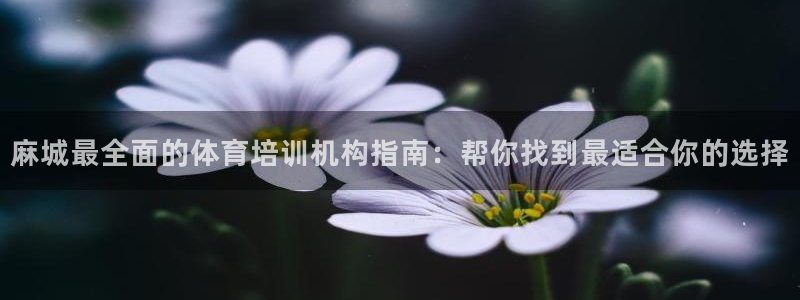 富联金融：麻城最全面的体育培训机构指南：帮你找到最适合你的选