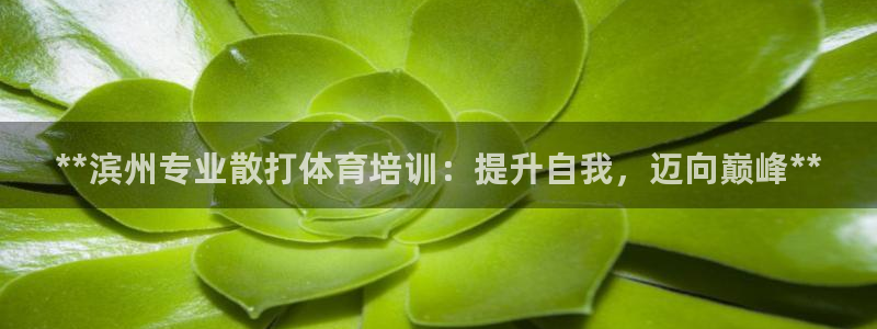 富联平台代理注册流程：**滨州专业散打体育培训：提升