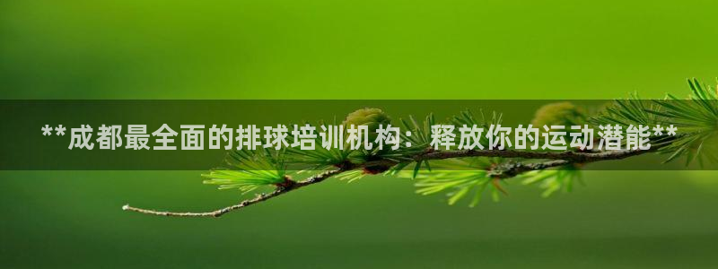 富联娱乐军7O777：**成都最全面的排球培训机构：