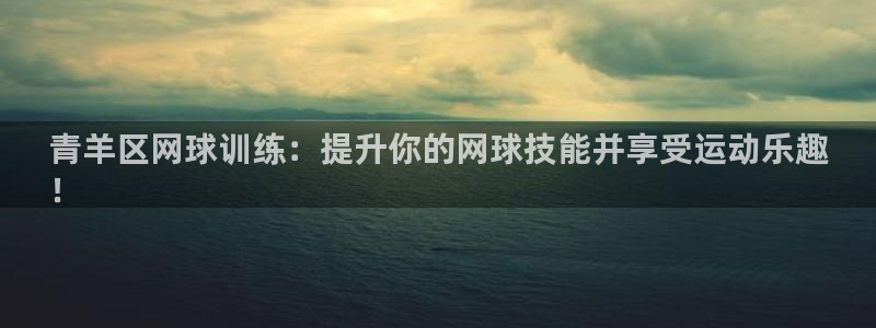 富联是什么软件：青羊区网球训练：提升你的网球技能并享