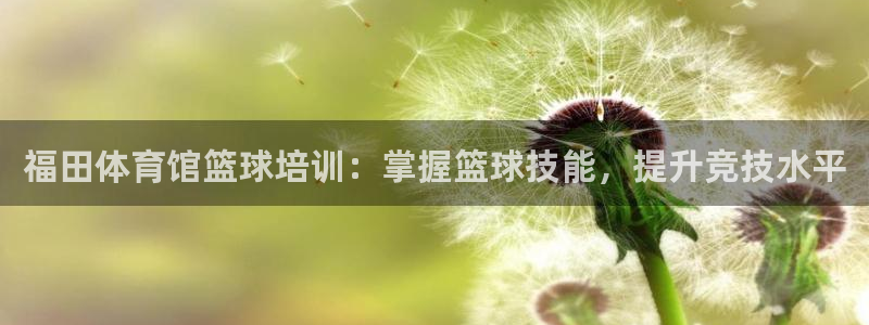 股票富联申购今天多少钱：福田体育馆篮球培训：掌握篮球