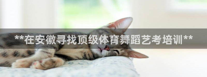 富联娱乐测速怎么样：**在安徽寻找顶级体育舞蹈艺考培训**
