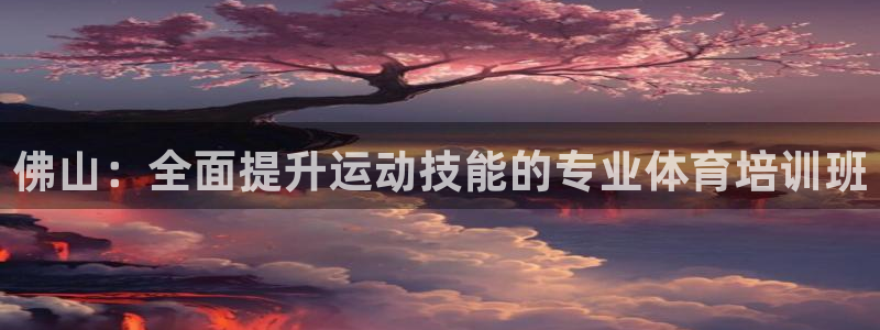 富联官方网站登录：佛山：全面提升运动技能的专业体育培
